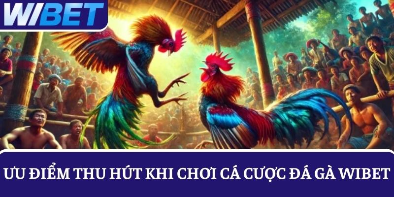 Các ưu điểm khi chơi đá gà online tại WIBET