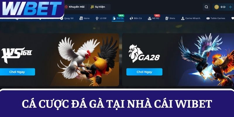 Đánh giá về game cá cược đá gà tại nhà cái WIBET