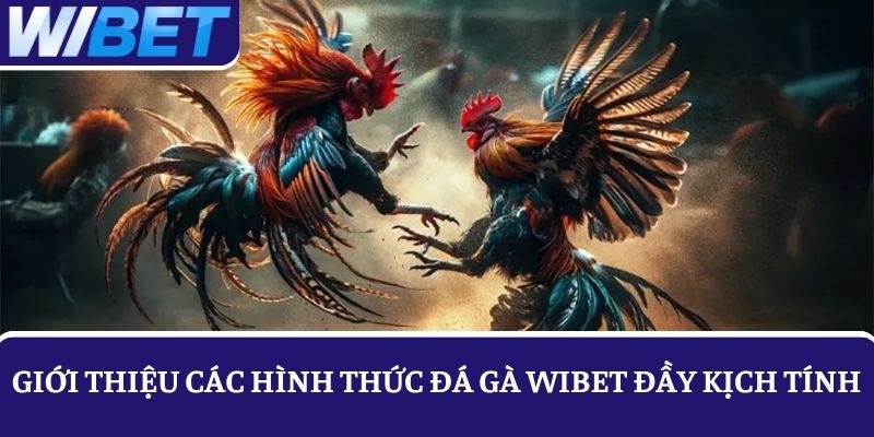 Vào tiền cược đá gà với các hình thức thi đấu kịch tính, đầy máu lửa