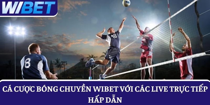 Cá cược bóng chuyền WIBET với các live trực tiếp hấp dẫn