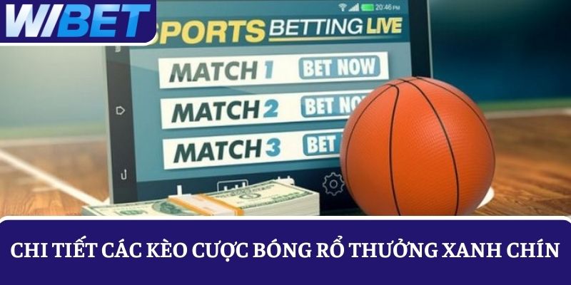 Chi tiết về các loại kèo cược bóng rổ xanh chín, phổ biến nhất