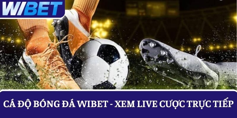 Chơi cá độ bóng đá WIBET trực tiếp với các live chất lượng cao