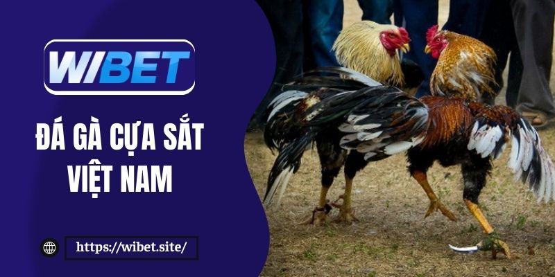 Đá gà cựa sắt Việt Nam với trải nghiệm kịch tính, thưởng cao
