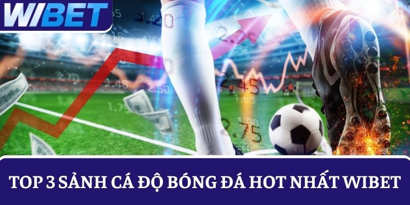 Khám phá top 3 sảnh cược bóng đá đáng thử nhất tại nhà cái WIBET