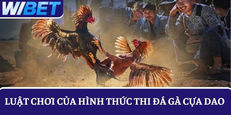 Nắm rõ luật chơi của hình thức thi đấu gà cựa dao