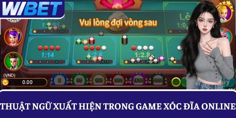 Thuật ngữ quan trọng phổ biến trong xóc đĩa online 
