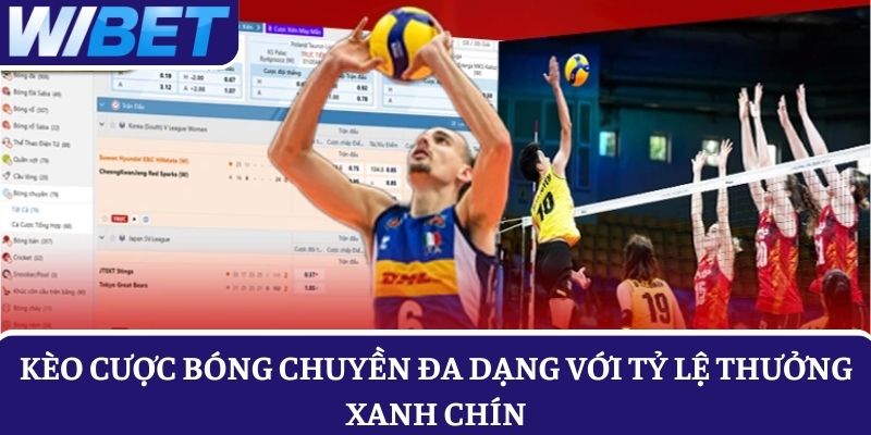 Tổng hợp một số kèo cược bóng chuyền với tỷ lệ thưởng xanh chín nhất